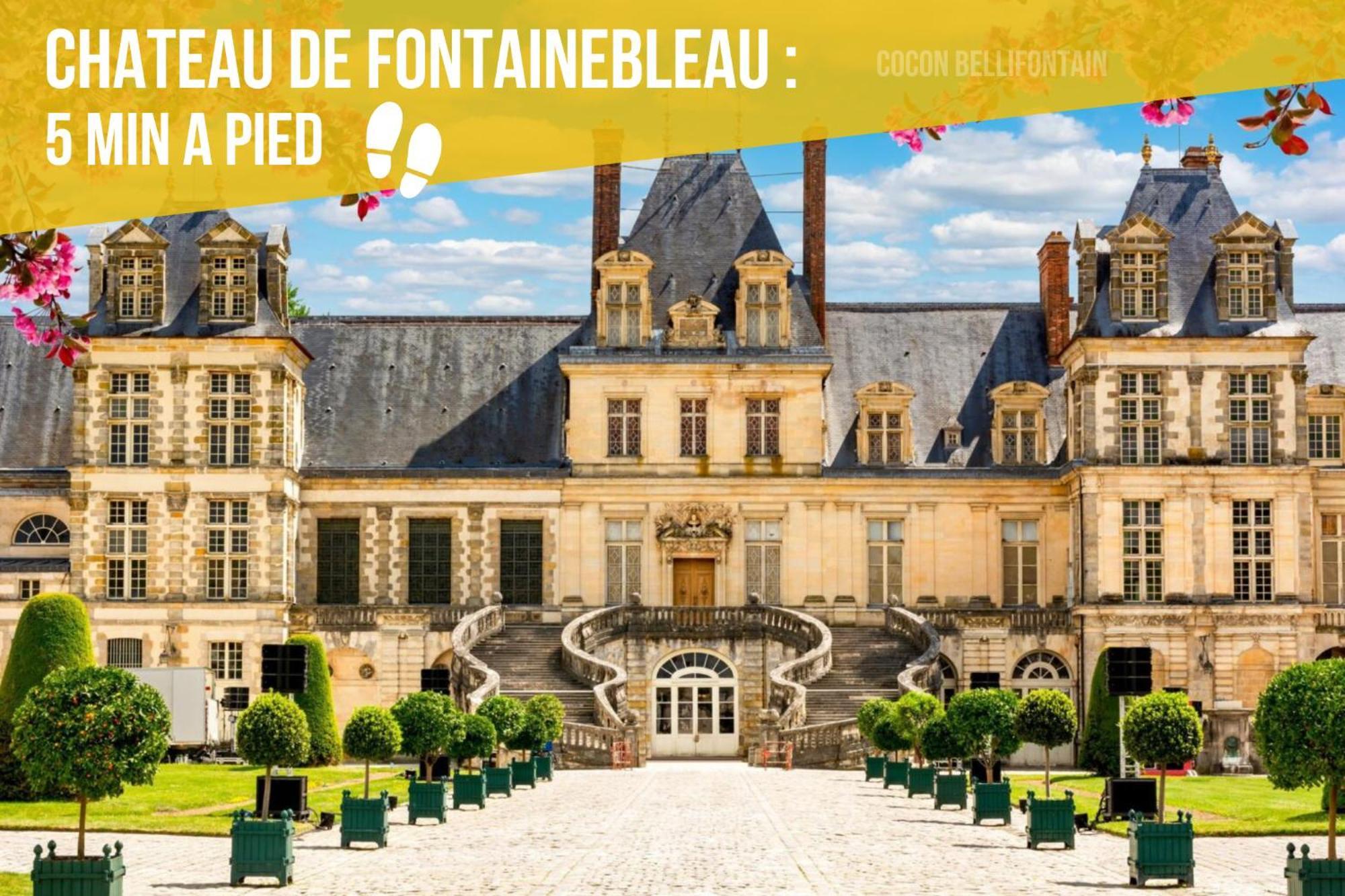 Le Cocon De Fontainebleau - Centre-Ville, Proche Insead & Chateau Εξωτερικό φωτογραφία